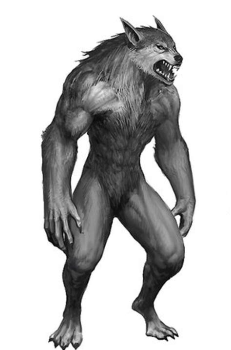The Role of Werewolves in Folklore and Superstition: Protecting or Terrorizing Communities?